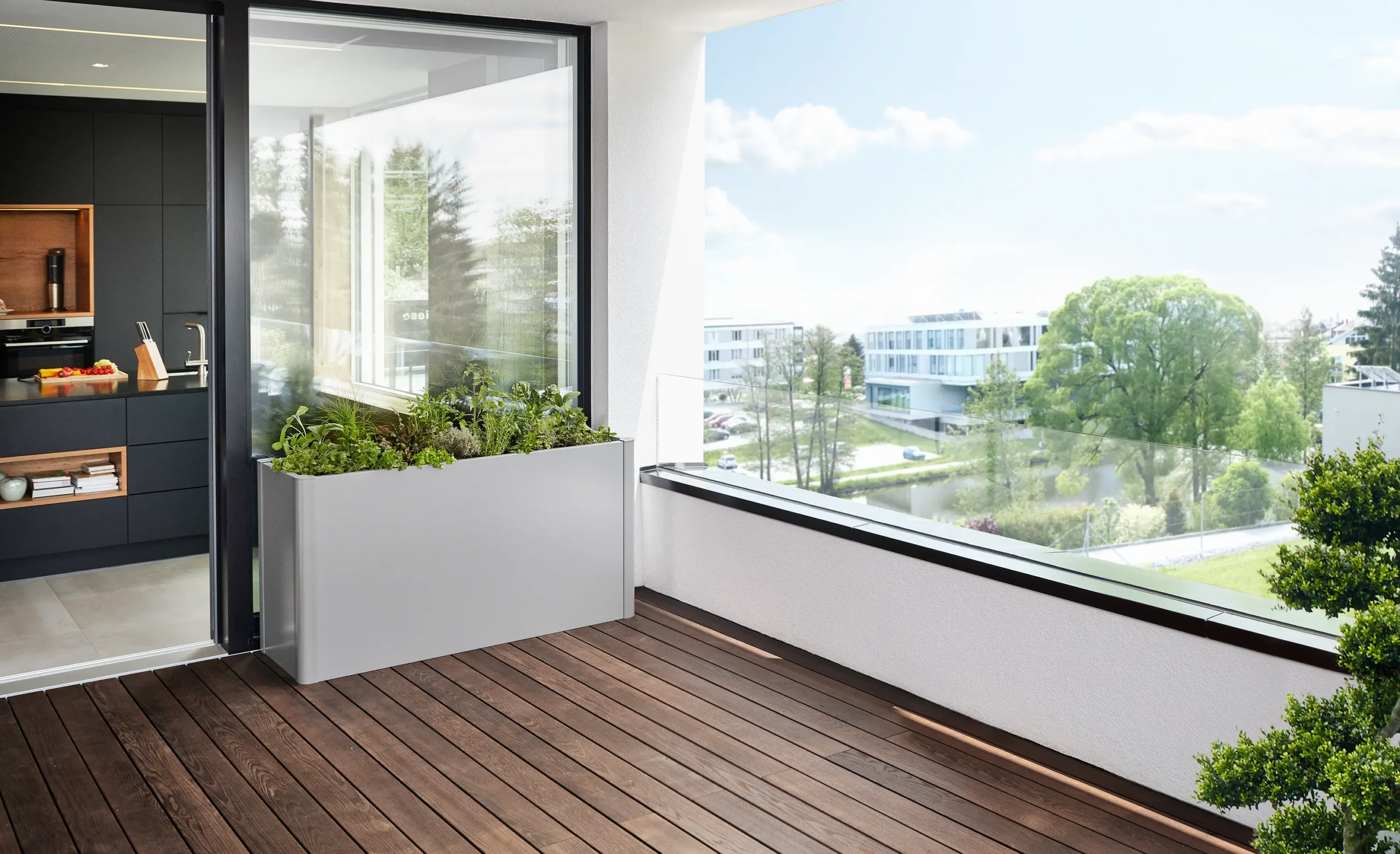 Belvedere - Imagen 4