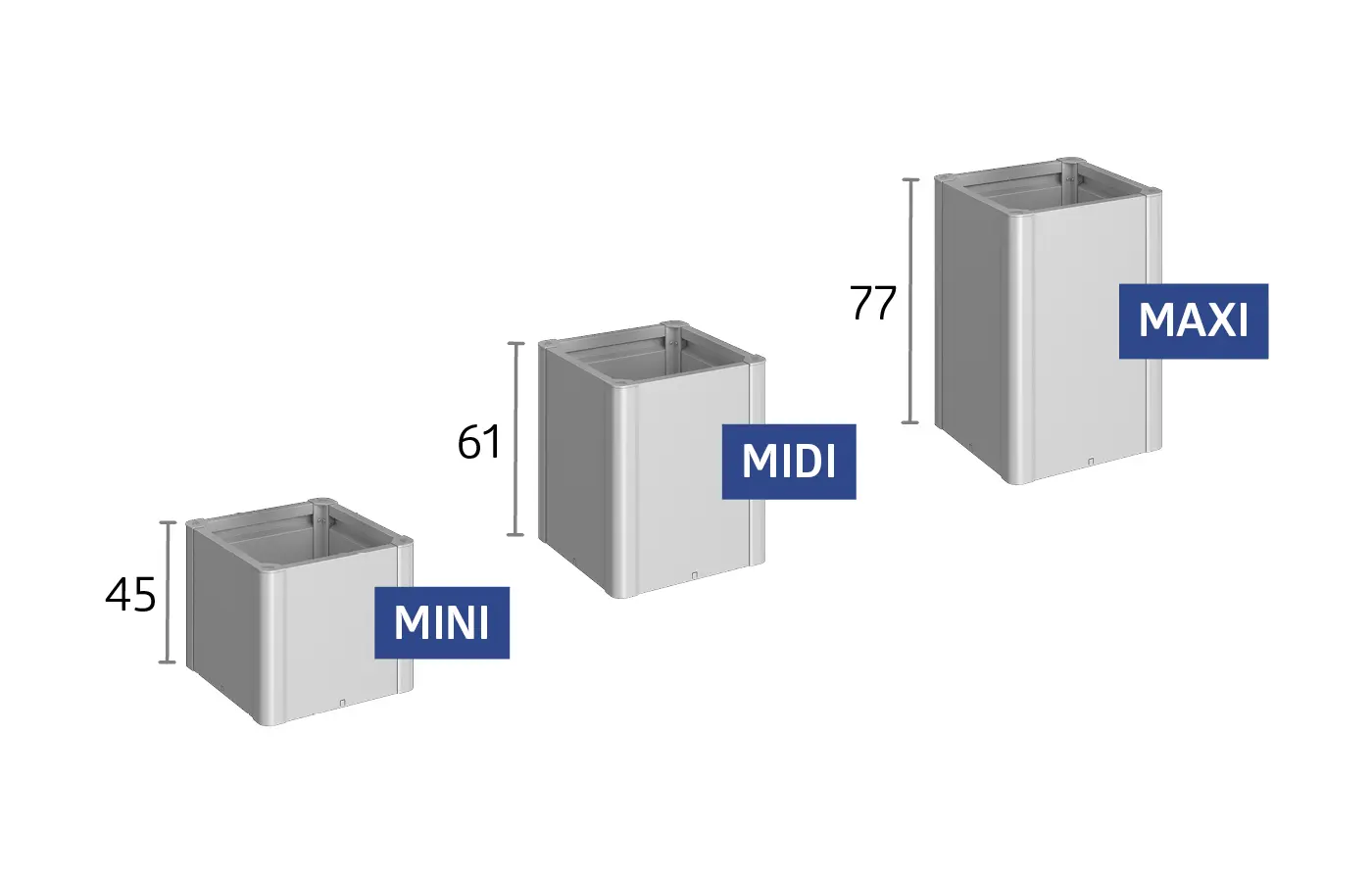 Belvedere - Imagen 9