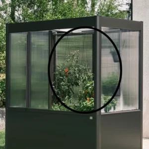 Trellis for greenhouse Florentina