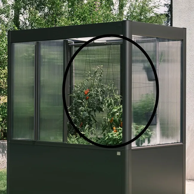 Trellis for greenhouse Florentina