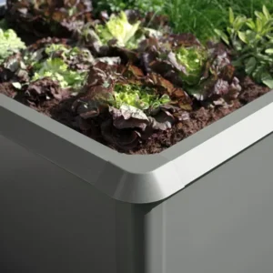 Snail Guard Raised Vegetable Bed